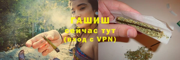 стаф Абаза
