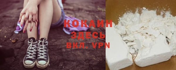 твердый Алексин