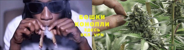 ГАЛЛЮЦИНОГЕННЫЕ ГРИБЫ Алексеевка